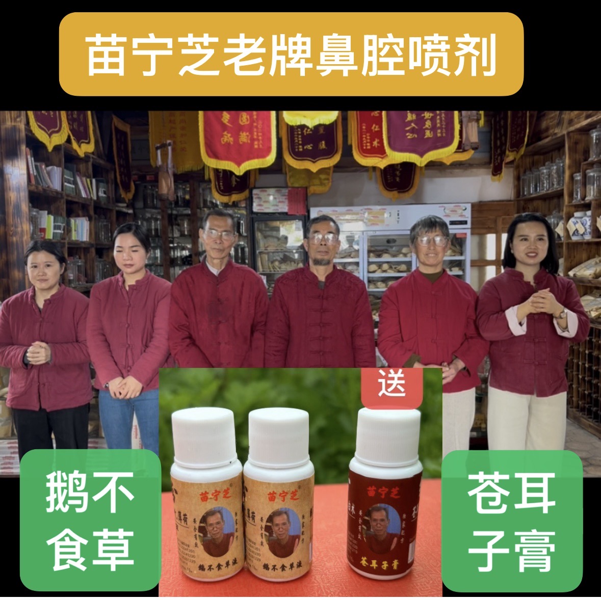 苗宁芝鼻腔喷剂含鹅不食草辛夷花细辛金银花连翘竹叶薄荷