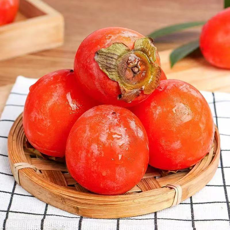 【小燕子专属】新鲜采摘产地直发火晶柿子30枚装单果50g+