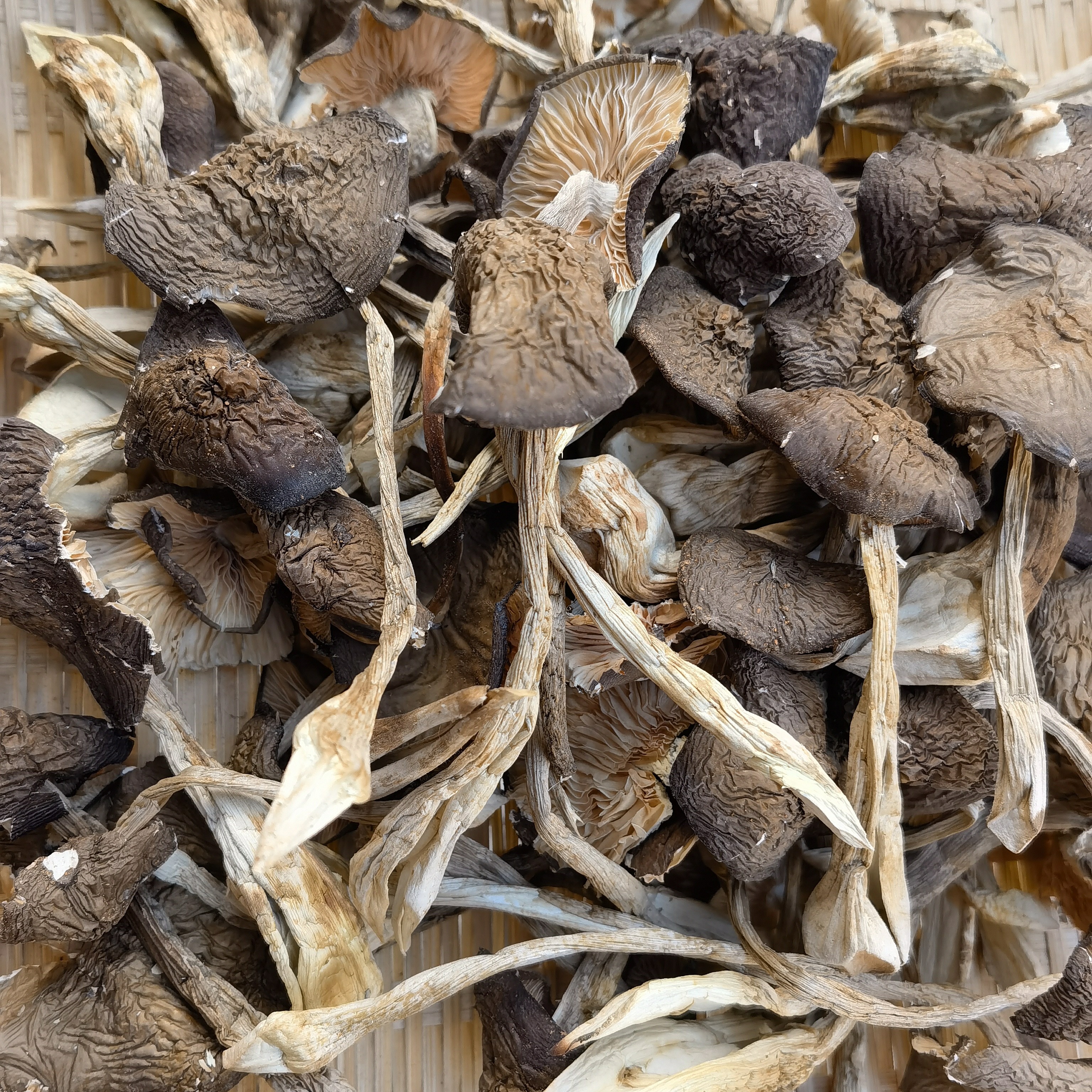 云南土特产山货～山鸡枞～阿红臻选