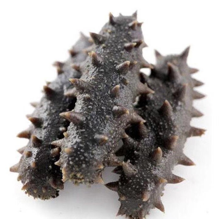 秋参！拉缸盐海参特价买3斤送1斤同款