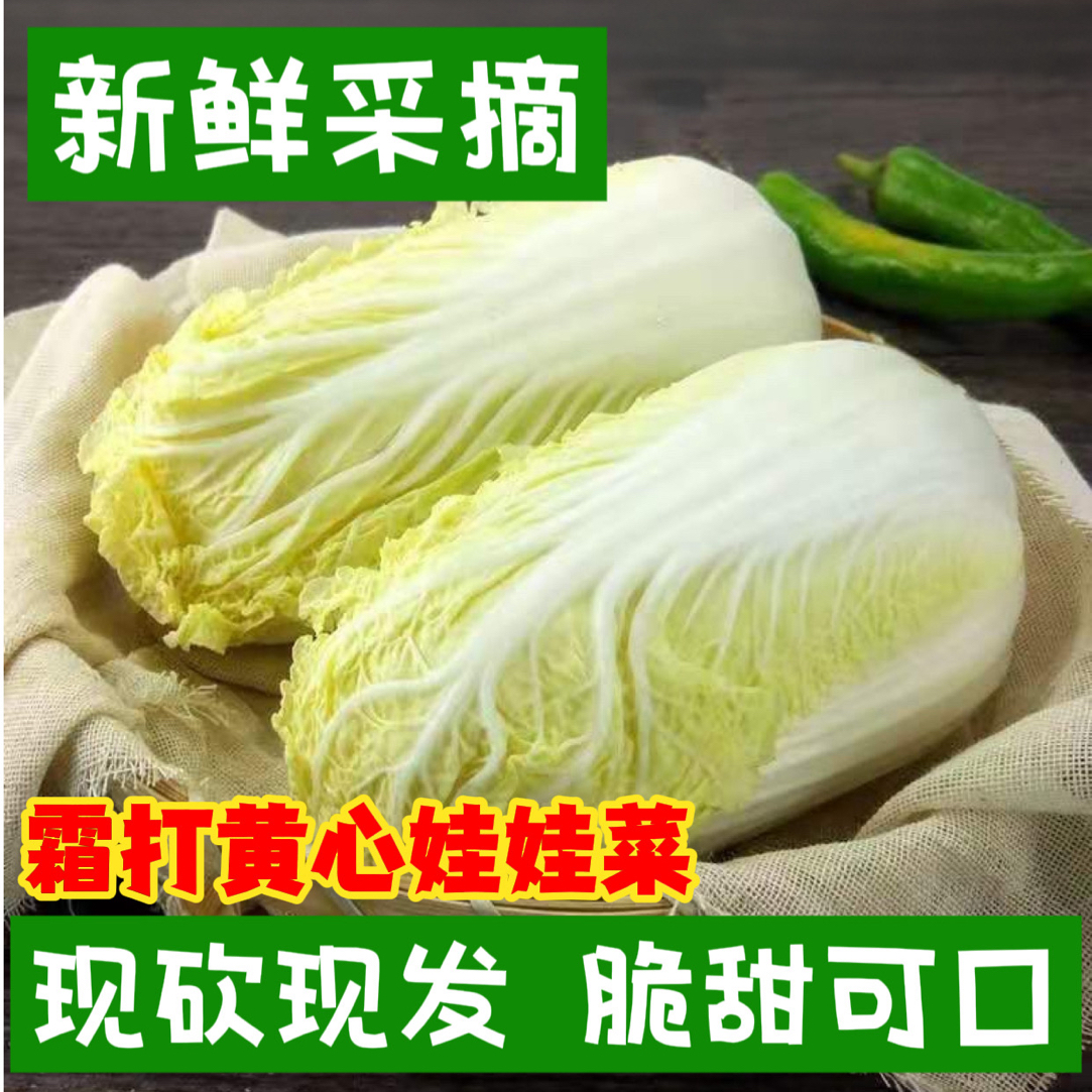 【现砍现发】霜打自种/新鲜当季时令蔬菜火锅娃娃菜黄心小白菜5/9斤