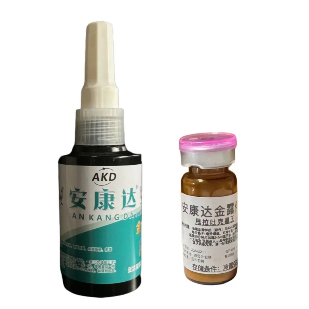 赛鸽金露伴侣甩拉吐灌液有效解决赛鸽健康问题