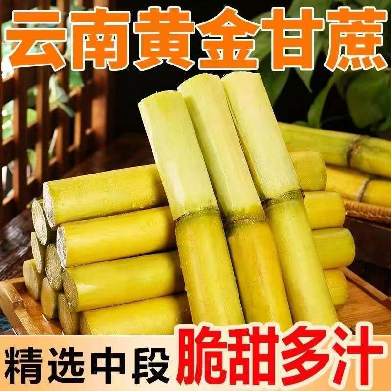 云南黄甘蔗现砍现发清甜多汁新鲜应季水果甘蔗