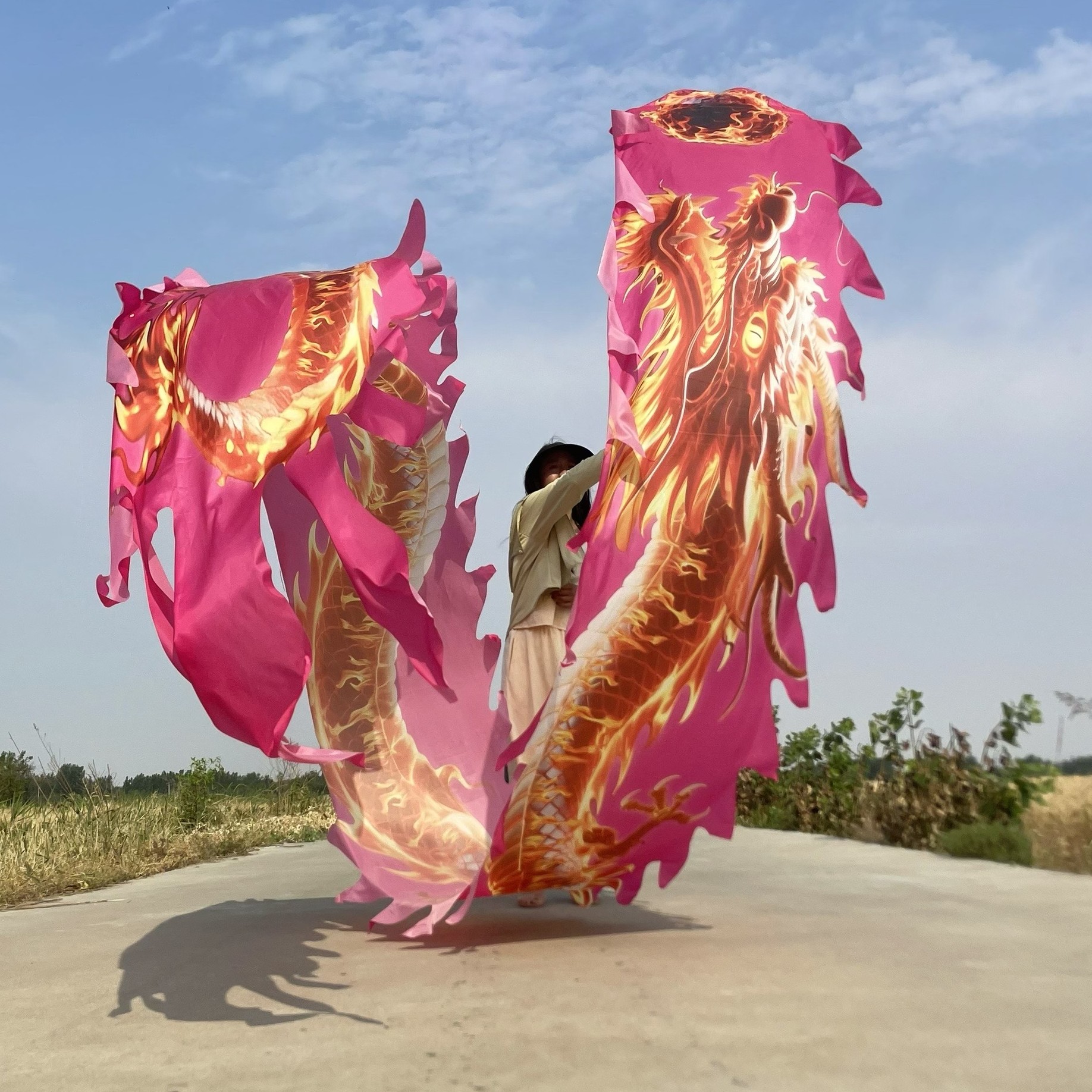 格曼新款全套烈焰神龙钢架镂空龙头舞龙