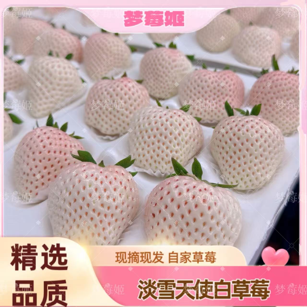 【顺丰包邮】淡雪白草莓梦之莹草莓香甜奶油草莓孕妇水果皮薄肉嫩