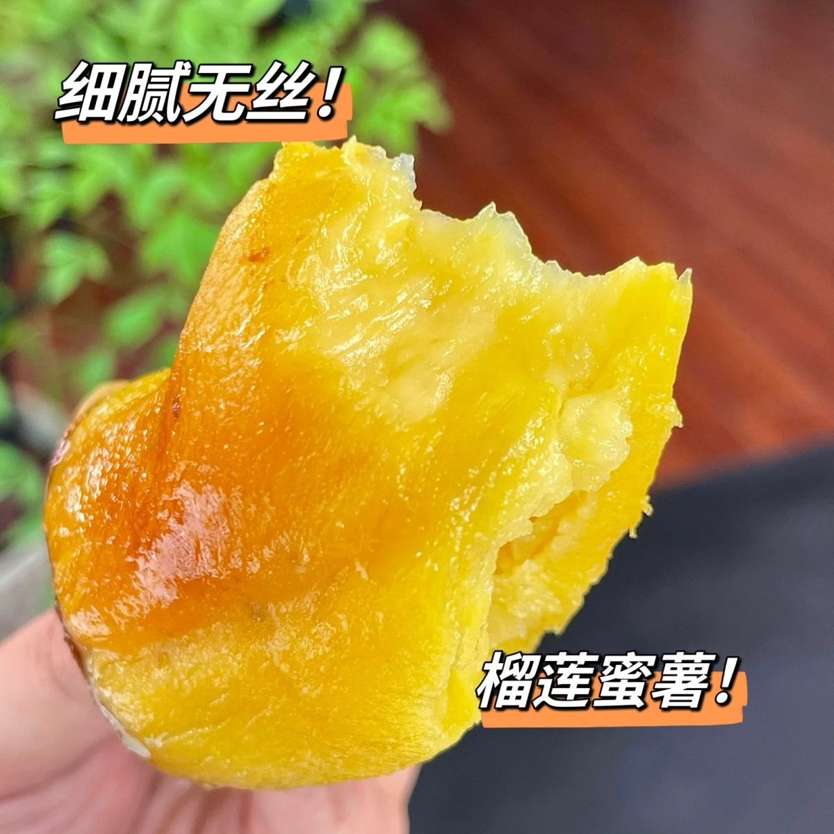 糖心红瑶蜜薯榴莲蜜薯地瓜 农家现挖 软糯无丝 甜而不腻顺丰包邮