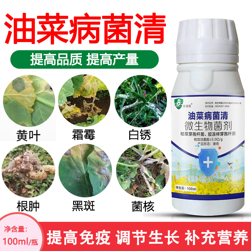 油菜病菌清油菜菌核软腐根肿黑斑白锈霜霉黄叶配方升级微生物菌剂