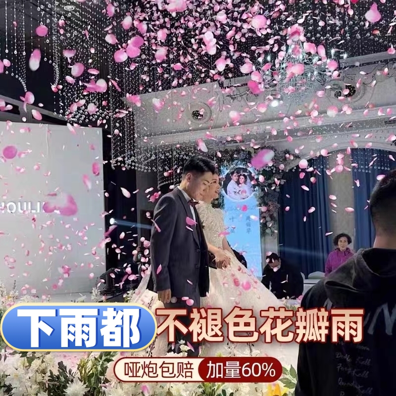 花瓣雨星河璀璨礼花筒手持礼花筒直播专用网红爆款2025最新款