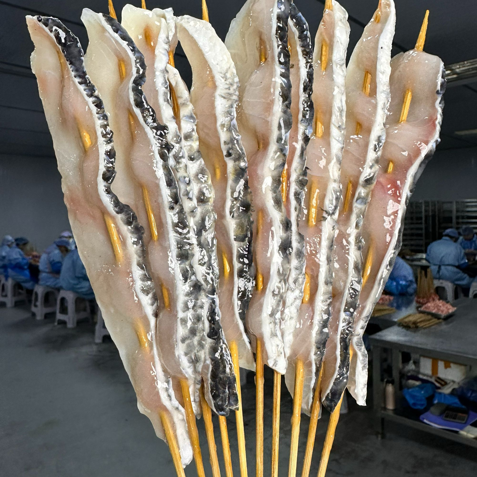 精品黑乌鱼片烧烤串40串