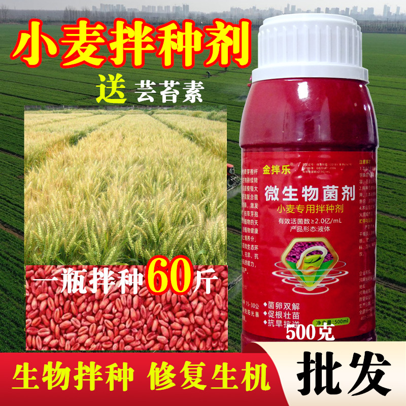 A【升级款小麦大蒜拌种剂】生根促芽增产增收包衣剂微生物菌剂