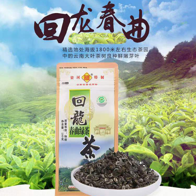 明前新茶高山回龙春曲绿茶大叶种炒青袋装
