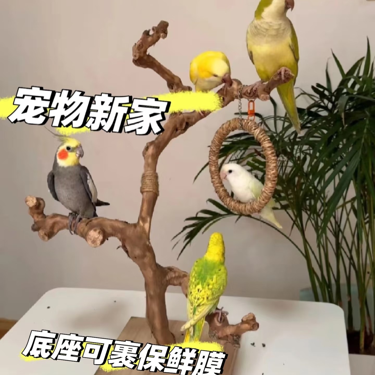 鹦鹉葡萄木玄凤鸟站杠磨爪棒磨嘴磨牙棒站棍站台鸟具攀爬秋千架