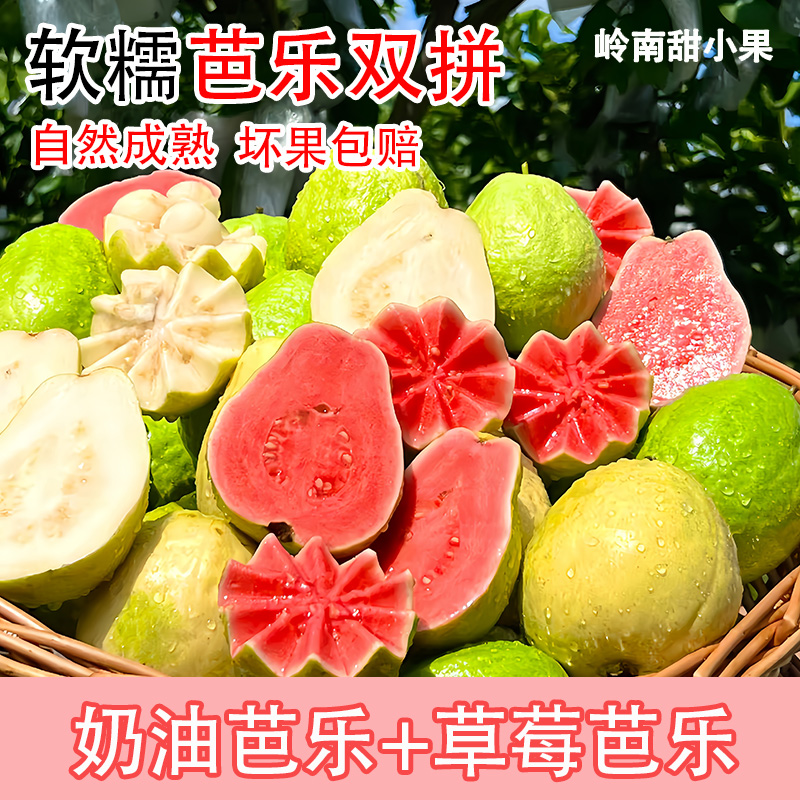 广西正宗奶油芭乐红心+白心新鲜低糖低卡水果番石榴软糯香甜解腻