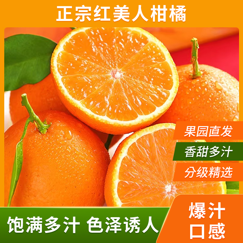 顺丰包邮当季红美人橙子现摘现发十斤礼盒（新藏蒙黑吉限售）