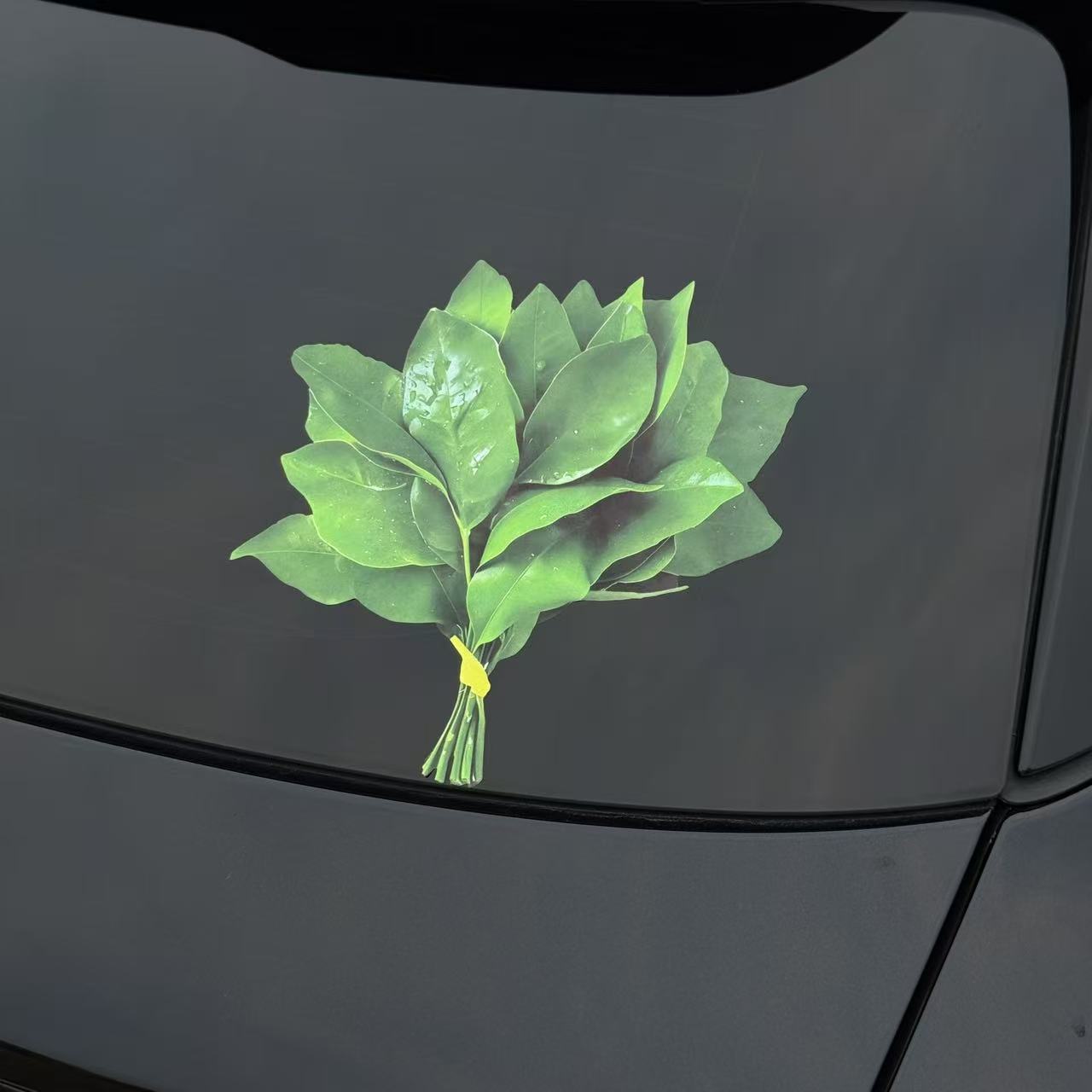 有趣个性好运碌柚叶汽车车窗贴纸晦气走走好运柚子叶汽车装饰贴画