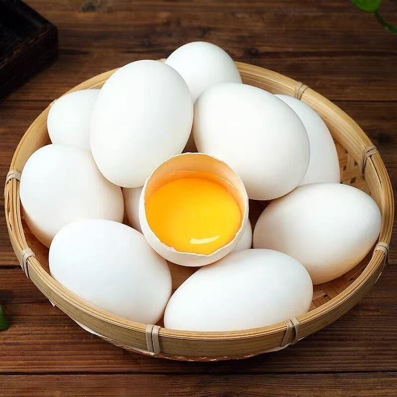 正宗农家散养土鹅蛋20枚谷物喂养新鲜