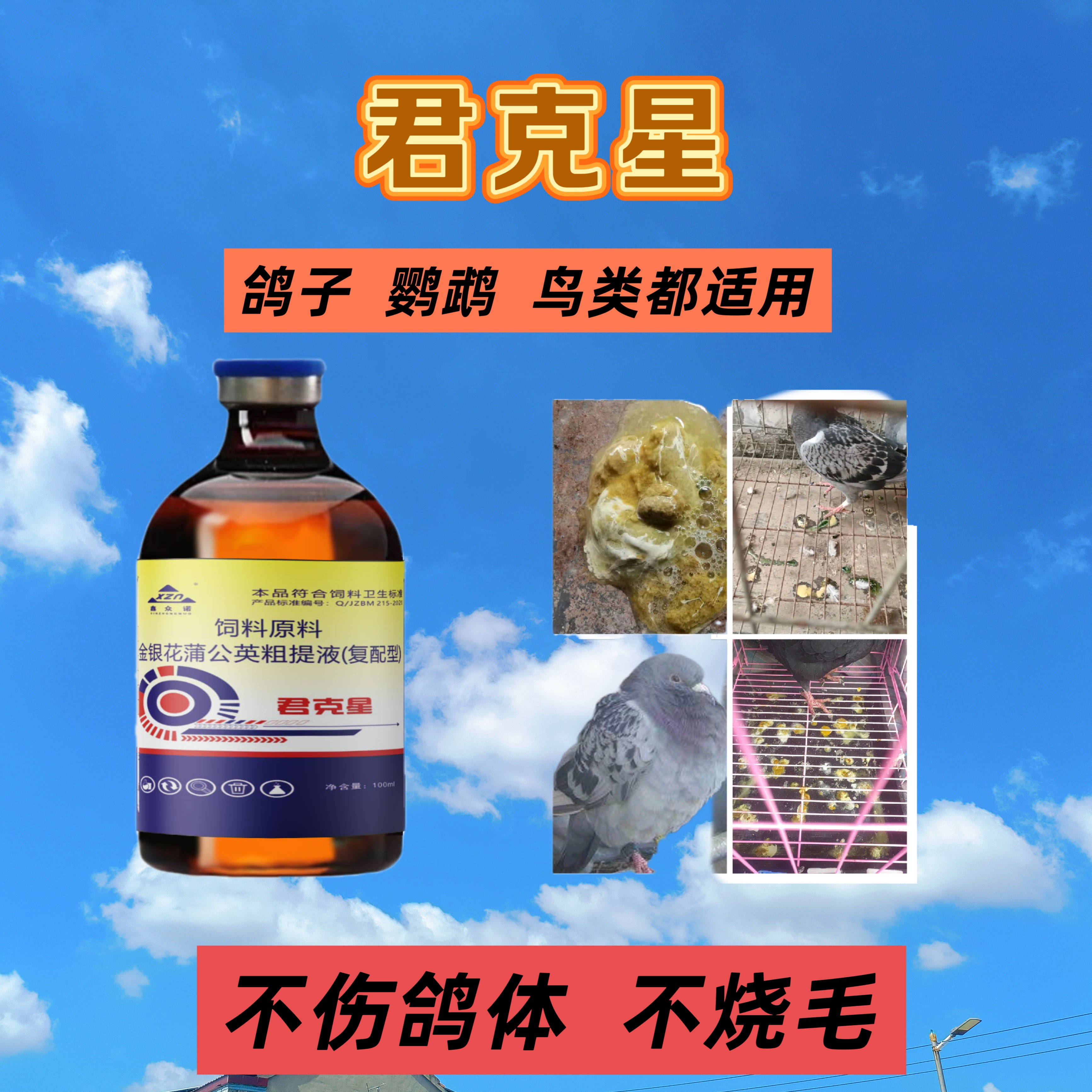 君克星液体正品针对沙门氏大肠杆菌气囊炎乳鸽黑肚皮拉稀腹泻狗狗