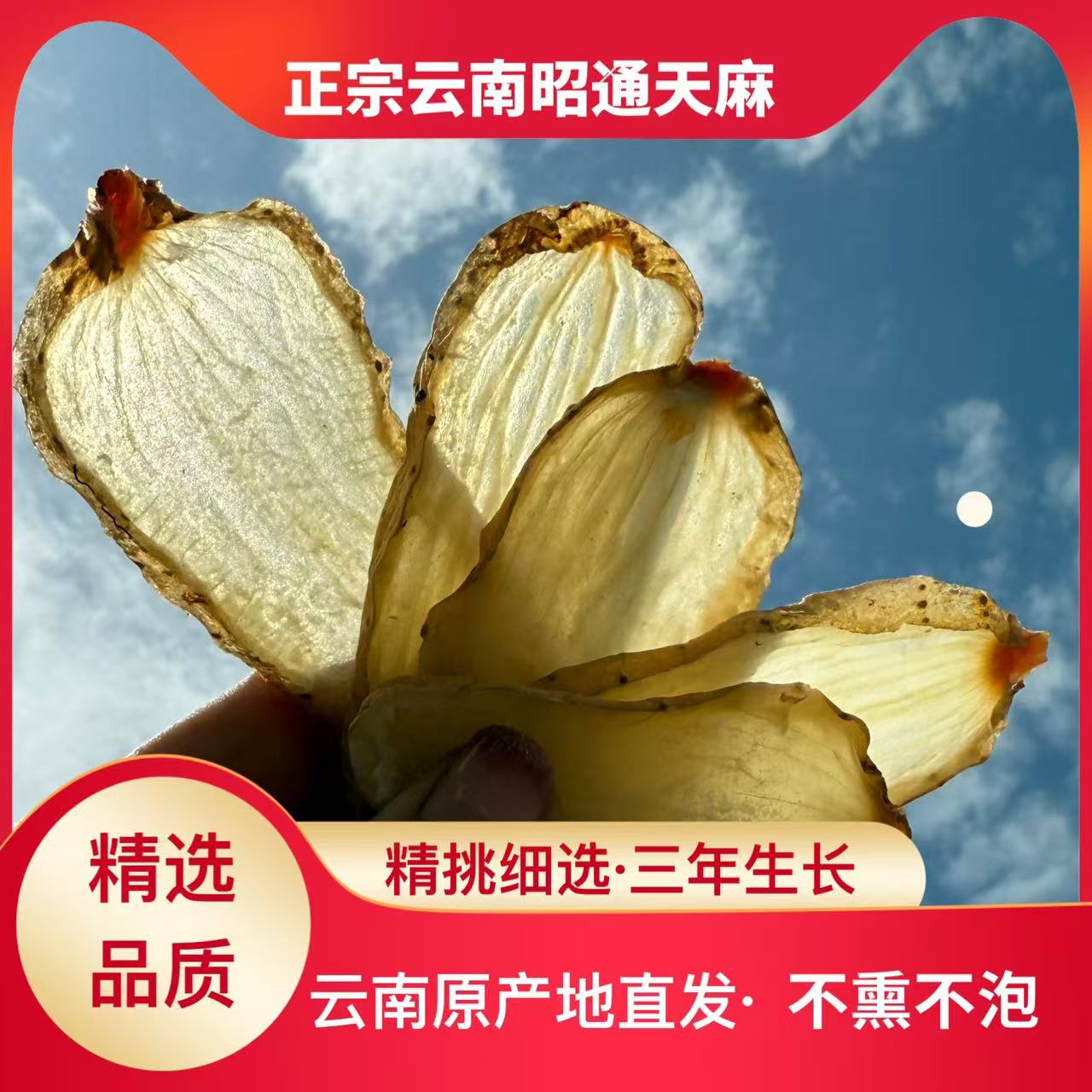 【干天麻可切片磨粉】云南昭通小草坝天麻仿野生长农家自然晾晒