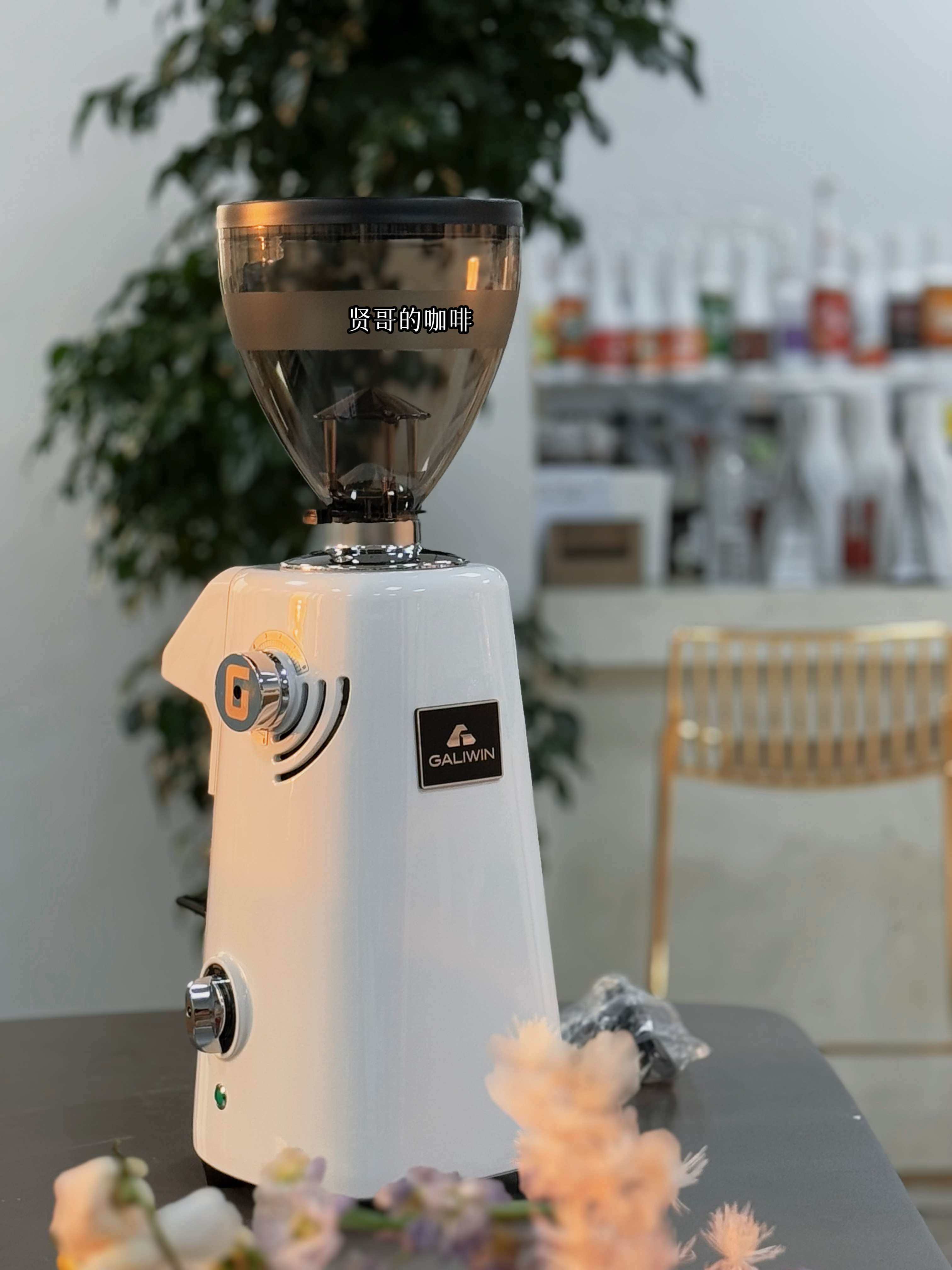 升级内置称Galiwin 伽利略Q19 意式商用家用刀盘电动咖啡磨豆机