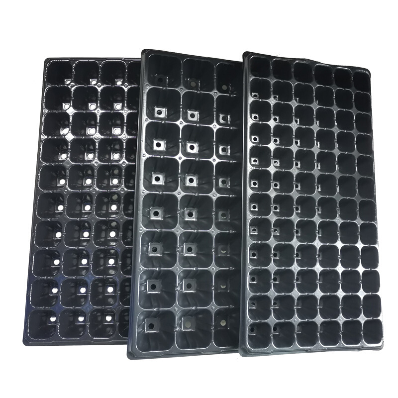 育苗盘优质加厚多肉育苗穴盘多种尺寸加厚蔬菜营养钵种植穴盘加厚