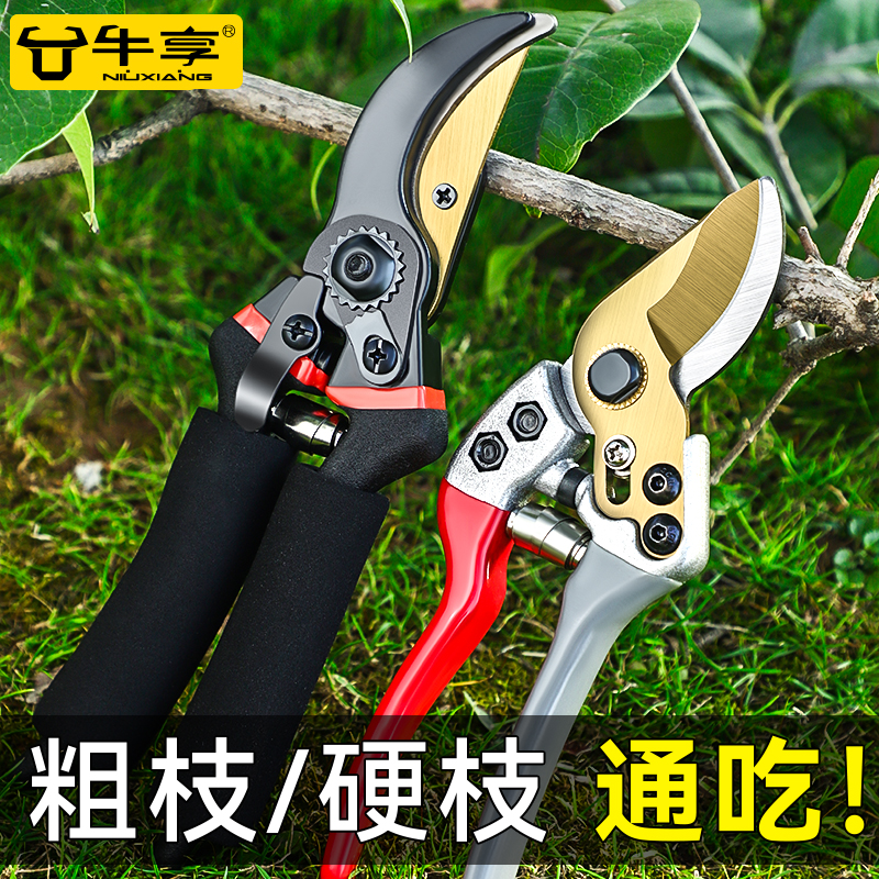 园艺剪修剪果树树篱笆专用剪子花艺修枝园林锋利耐用粗树枝剪刀