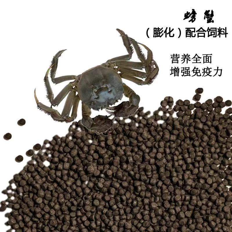 河蟹蟹苗大闸蟹幼苗扣蟹苗螯蟹饲料蟹苗幼苗河蟹蟹苗幼苗扣蟹苗
