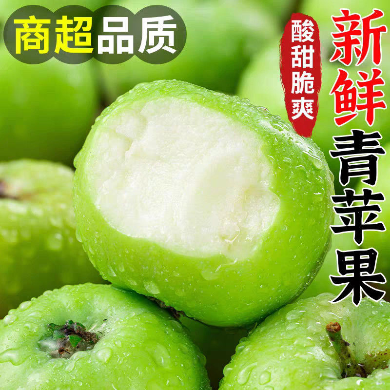紫玉环陕西当季现摘的青苹果新苹果酸甜可口孕妇榨汁新鲜水果整箱