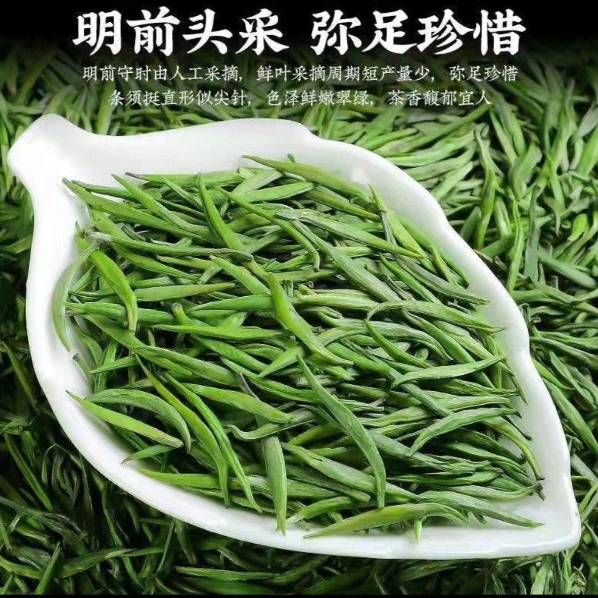 （买半斤送半斤）明前雀舌绿茶新茶云雾绿茶翠芽毛尖茶日照绿茶AC