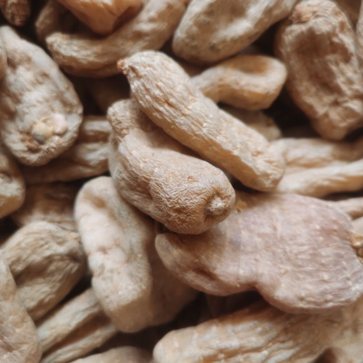 云南昭通小草坝干天麻无硫煲汤原味农家干货带皮晒干