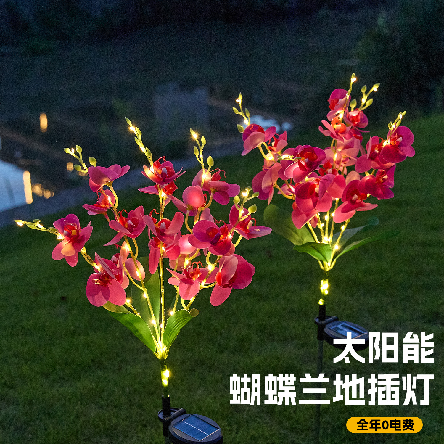 仿真蝴蝶兰花灯太阳能防水草坪地插灯网红小院造景布置氛围装饰灯