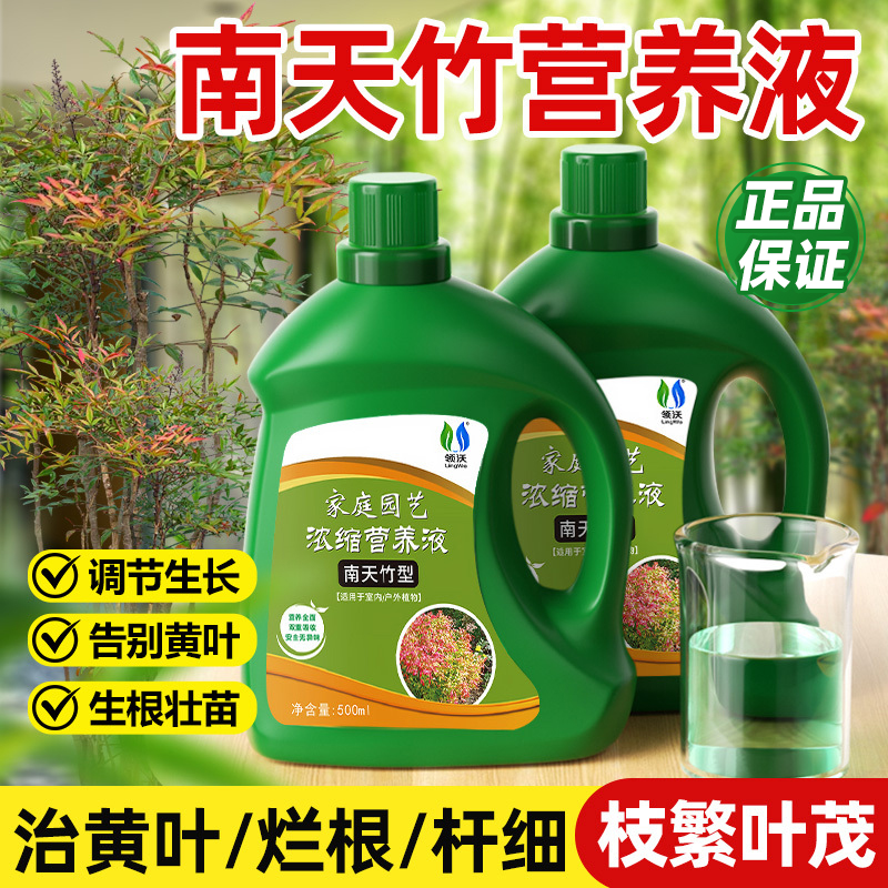 南天竹专用肥营养液盆栽绿植发财树兰竹类植物通用型肥料治黄叶