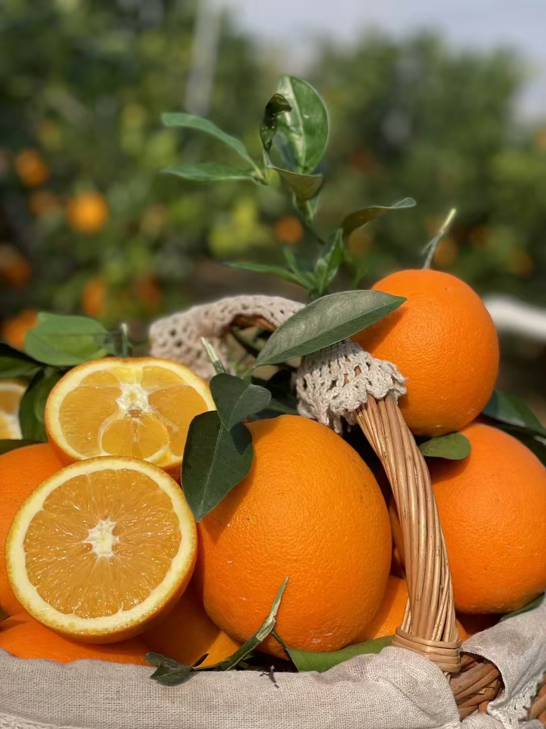 （坏果包赔）正宗赣南脐橙清甜多汁原生态5/10/20斤整箱包装