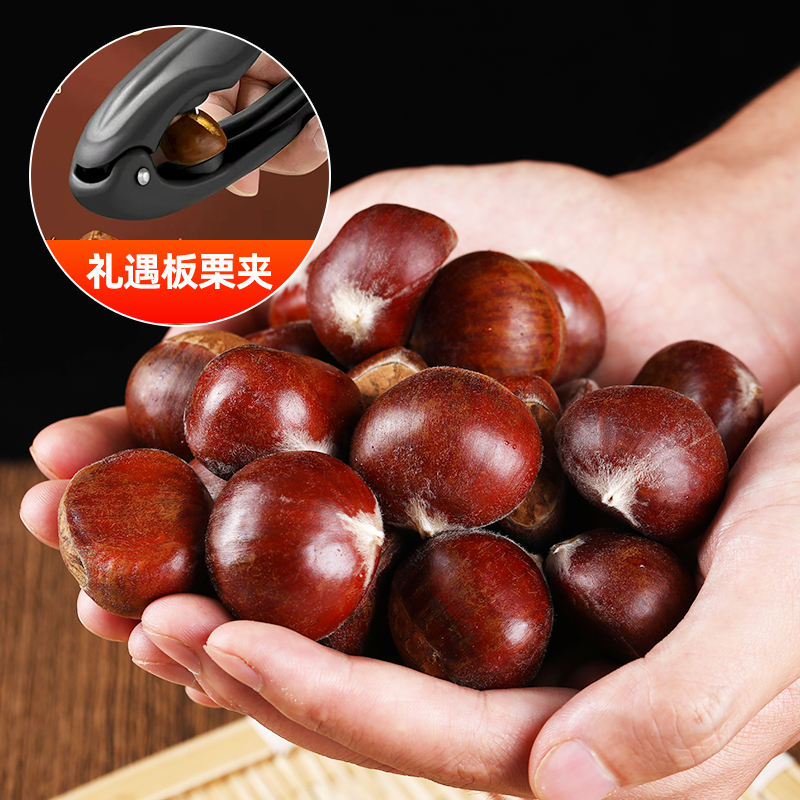 2025年云南高山老树新鲜板栗3斤4.5斤可蒸烤煎煮TY