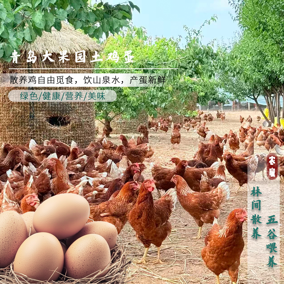 【40枚粉壳土鸡蛋】农家纯粮林间散养土鸡蛋溜达鸡现捡新鲜土鸡蛋