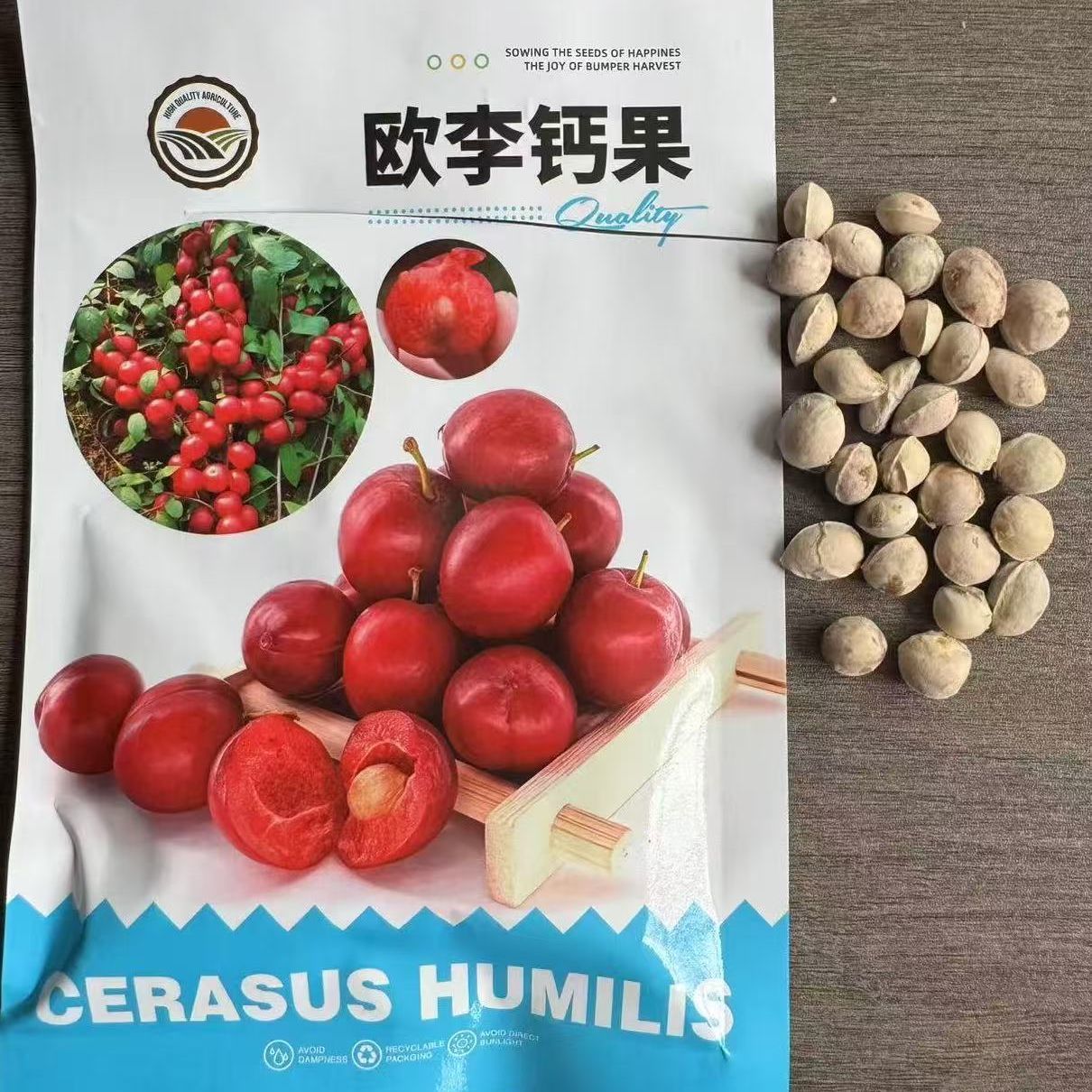 【欧李钙果种子】家庭阳台四季种植盆栽-WZN