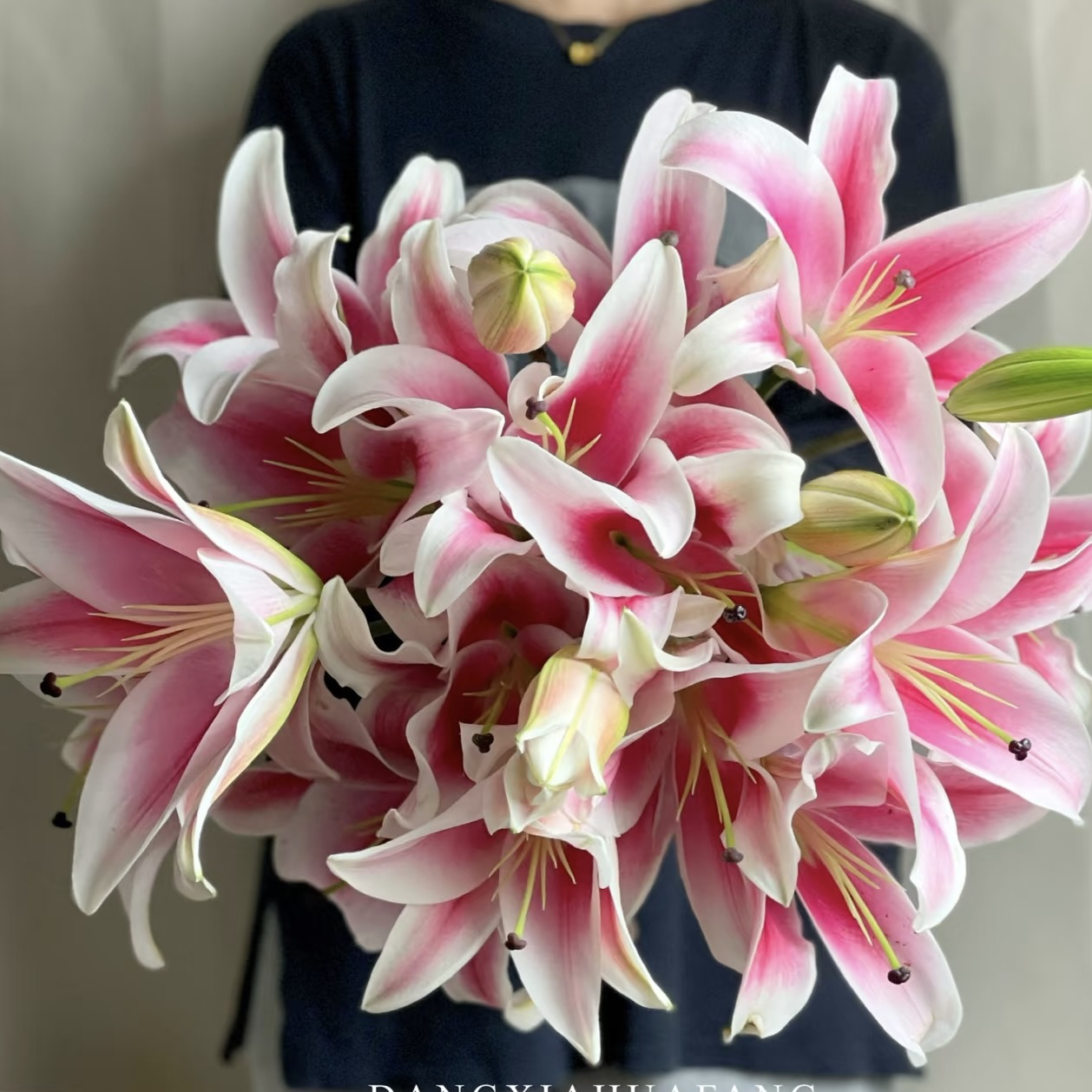 【大连】香水百合东北鲜花基地直发顺丰包邮办公室简单次日达鲜花