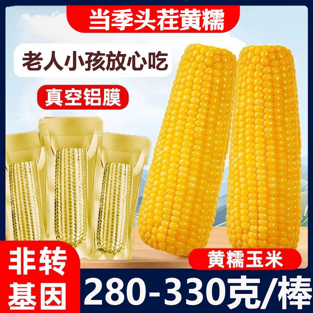 【试吃3根10根6斤以上】25头茬新东北黄糯玉米软糯香甜整箱金箔包装