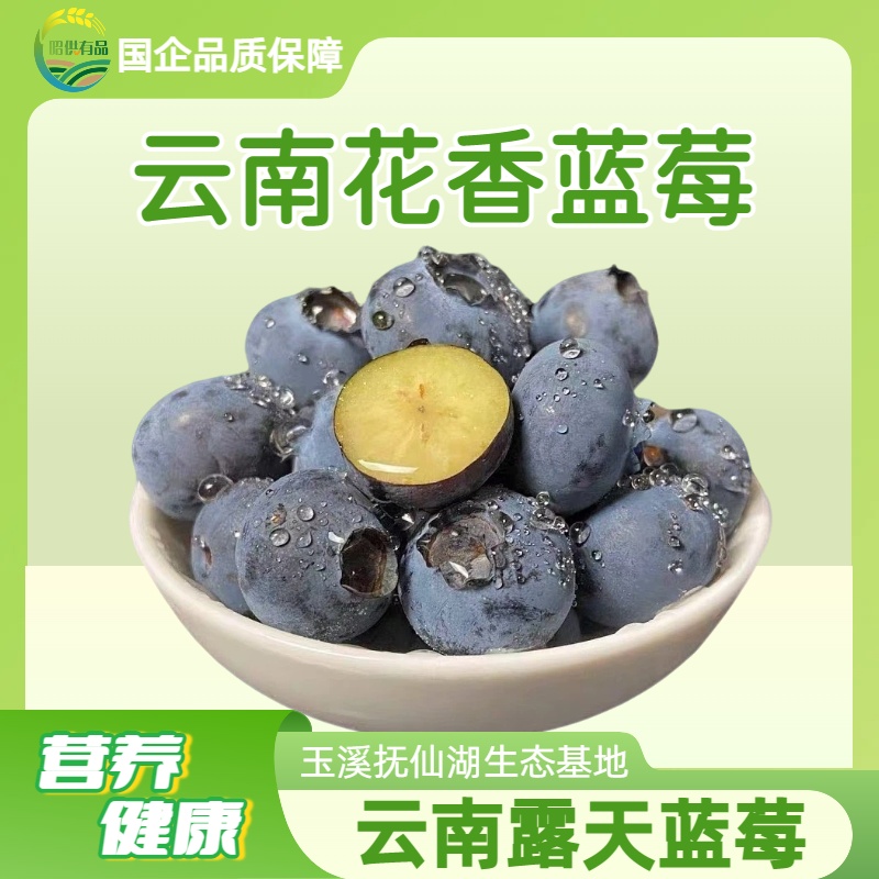 昭供有品甄选当季新鲜现摘基地直发花香蓝莓健康美味富含花青素