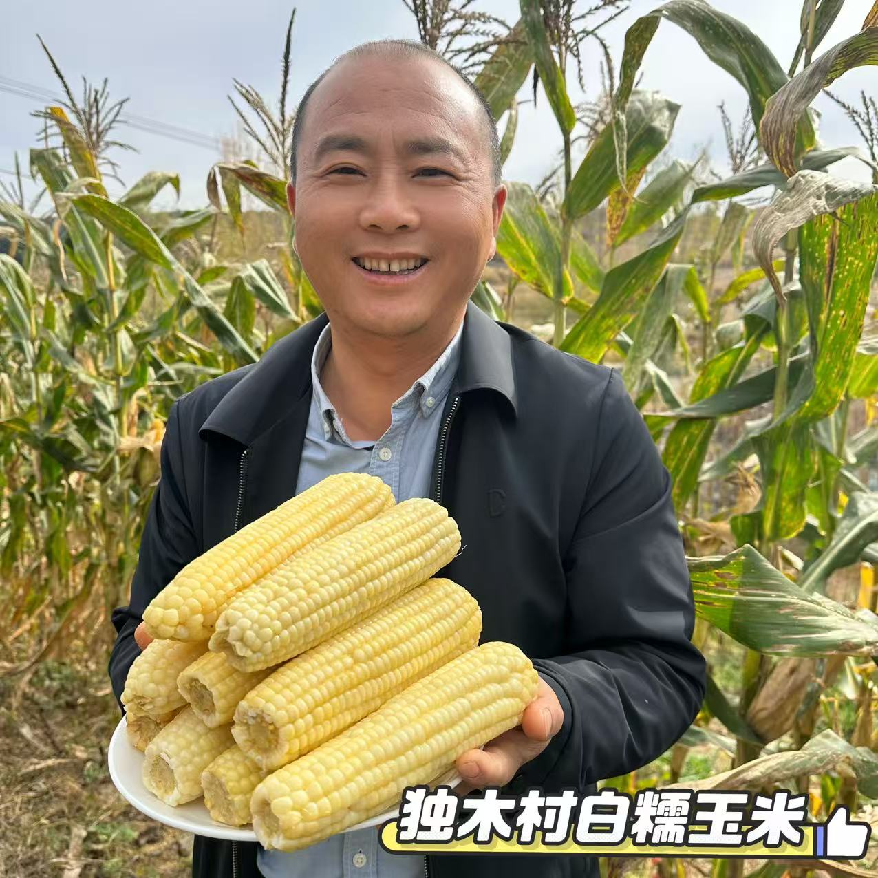 东北白糯玉米（万糯2000）甜糯粘玉米棒真空包装黏玉米新鲜粗粮代餐