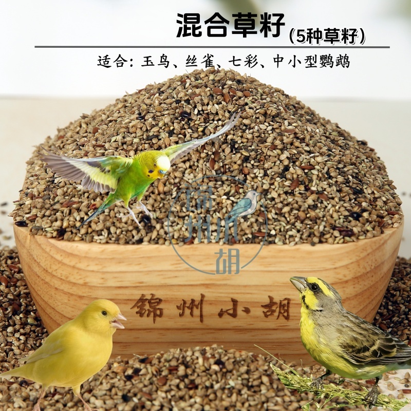 混合草籽 五种混合牡丹鹦鹉玉鸟鸟食混合玄风丝雀真空包装