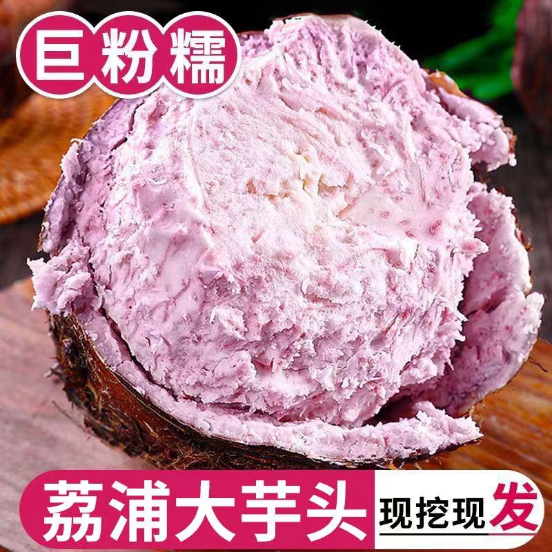 大芋头广西正宗荔浦粉香芋头新鲜槟榔粉芋头毛紫滕蔬菜商用小芋头