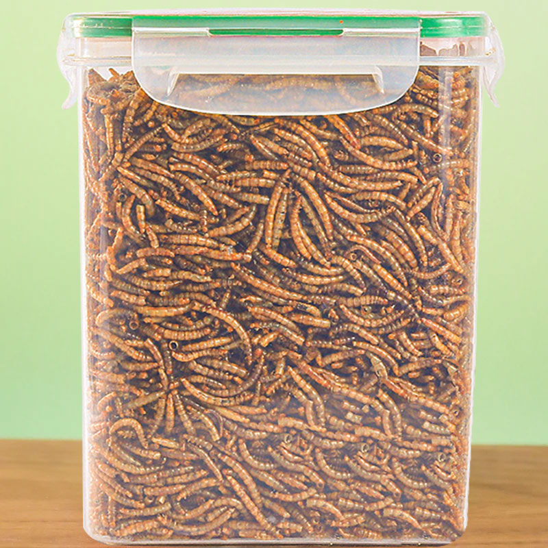 面包虫干黄粉虫干仓鼠粮食乌龟粮八哥鸟食芦丁鸡饲料宠物零食