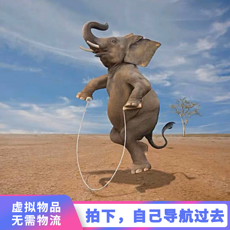 非洲野生大象，会滑板会飞，下单后按地址自己导航走过去。虚拟物品。