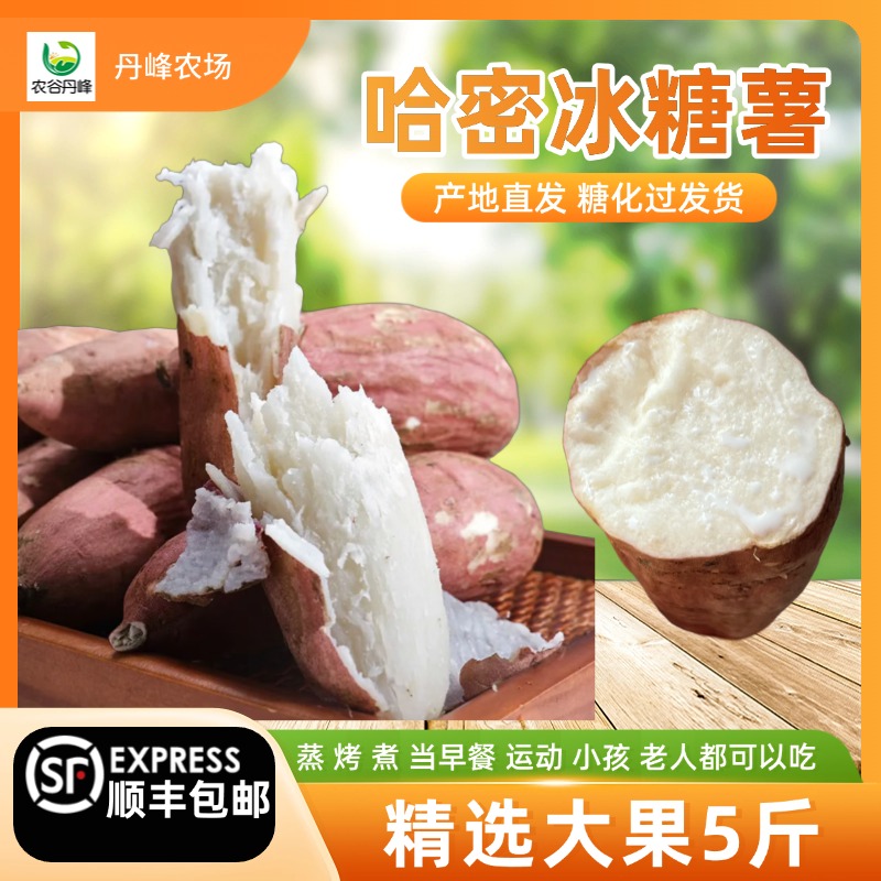 农谷丹峰（顺丰包邮）哈密冰糖薯白心蜜薯板栗精品中果大果哈密白薯
