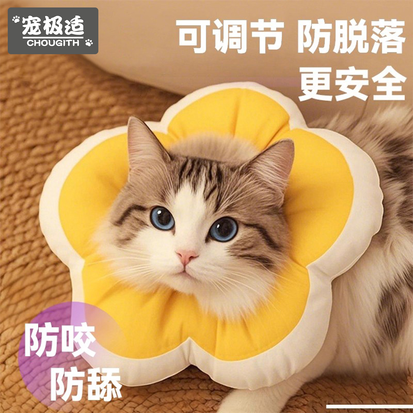 伊丽莎白圈绝育项圈太阳花猫脖圈猫咪狗狗防咬防舔头套小猫围脖子