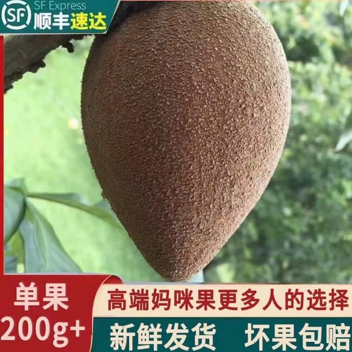 【顺丰包邮】妈咪果 新鲜现摘高山热带稀有水果古巴神仙果回味香甜