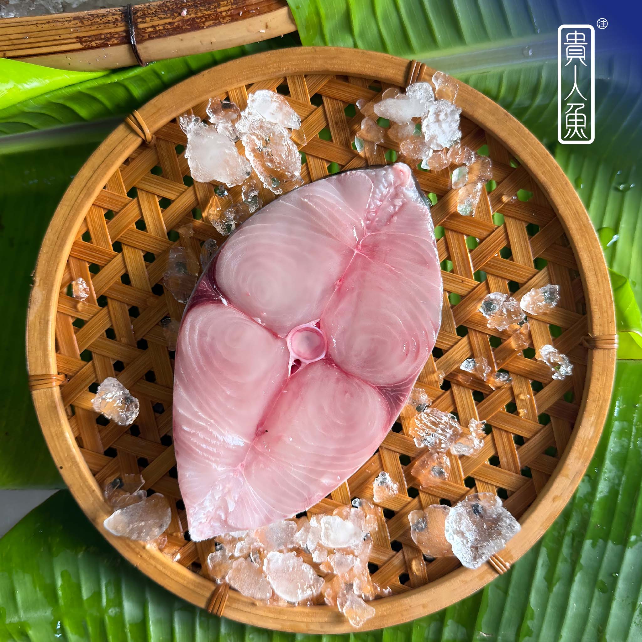 蓝色贵人马鲛鱼1斤装500g海钓康氏马鲛鱼高端海鲜鲜活速冻