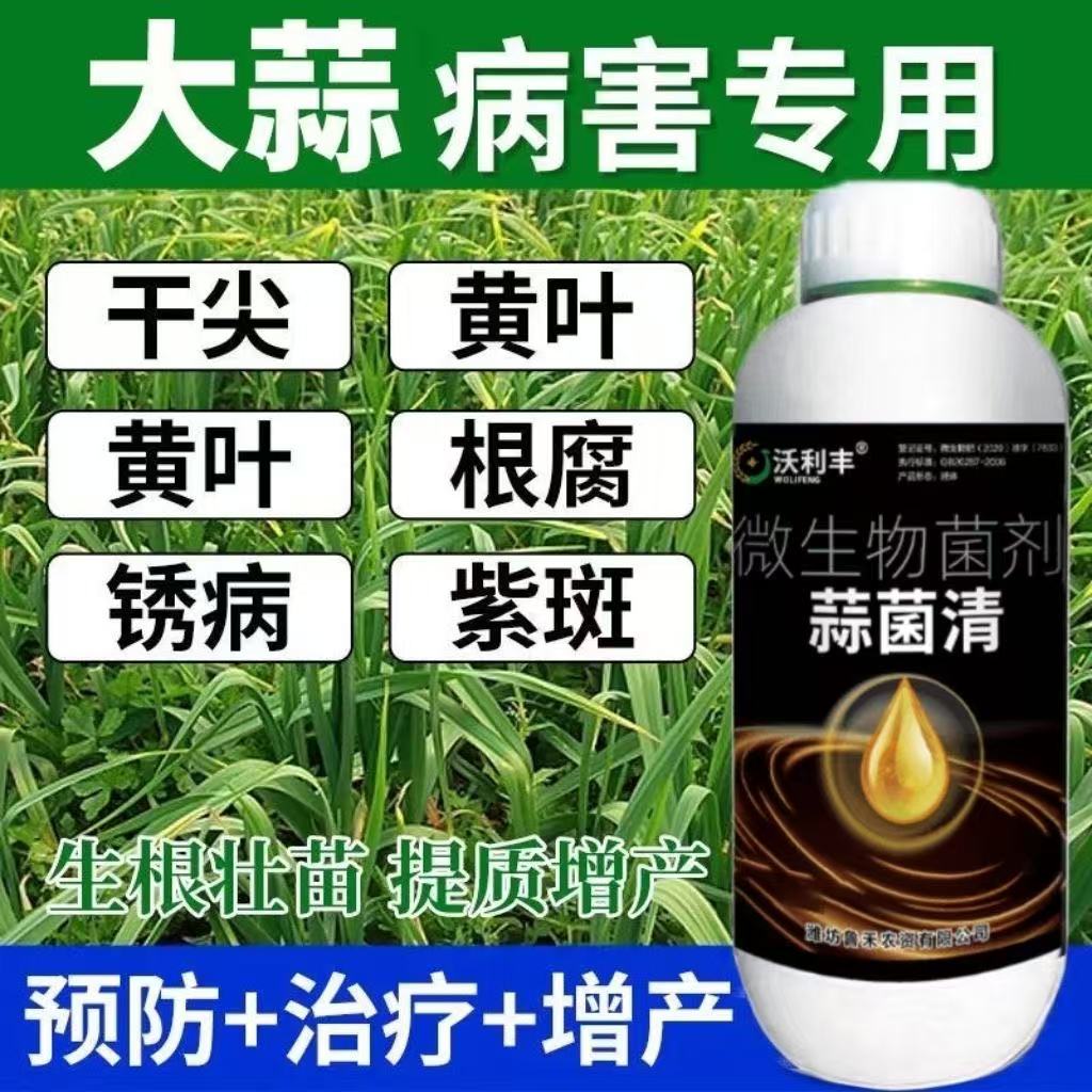 沃利丰蒜菌清原液大蒜种植专用干尖黄叶根腐死苗大蒜微生物菌剂