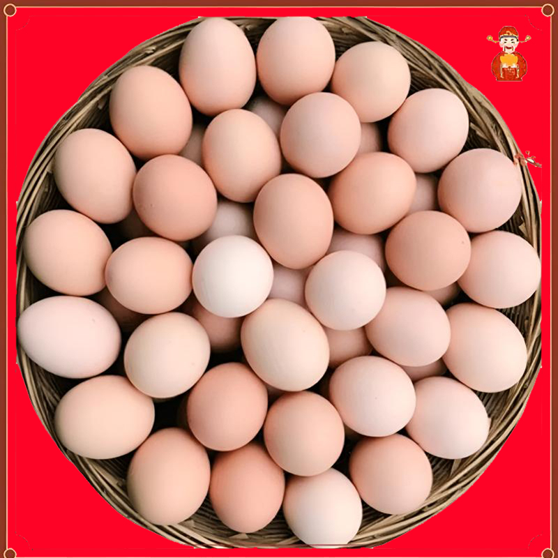 【50枚现捡】农家土鸡蛋大山散养五谷喂养40克-30克鸡蛋真散养鸡蛋