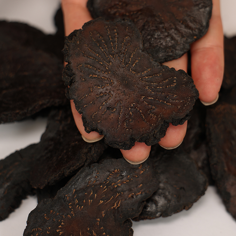 内蒙古肉苁蓉片干货道地高品质原料肉厚纹理清晰可见